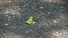 camp28 (130)_thumb.png